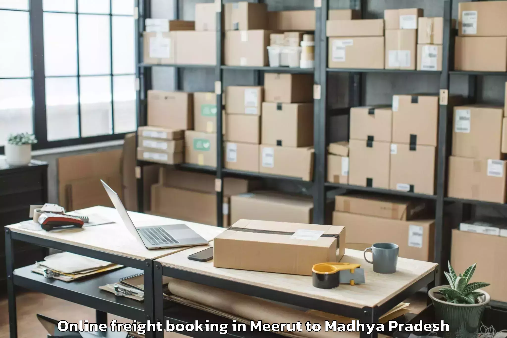 Reliable Meerut to Raghogarh Online Freight Booking